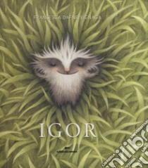 Igor. Ediz. a colori libro di Vignaga Francesca Dafne