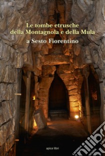 Le tombe etrusche della Montagnola e della Mula a Sesto Fiorentino libro di Chiostri Frido; Mannini Marcello; Cianferoni Giuseppina Carlotta