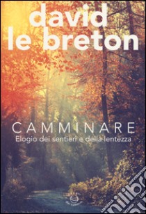 Camminare. Elogio dei sentieri e della lentezza libro di Le Breton David