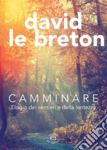 Camminare. Elogio dei sentieri e della lentezza libro di Le Breton David