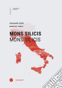 Mons Silicis-Mons Silicis. Ediz. italiana e inglese libro di Gallo Antonella