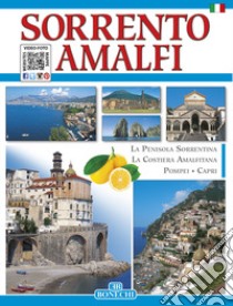 Sorrento e Amalfi libro