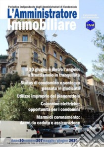 L'amministratore immobiliare. Periodico indipendente degli amministratori di condominio (2022). Vol. 207 libro