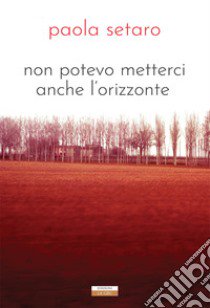 Non potevo metterci anche l'orizzonte. Nuova ediz. libro di Setaro Paola