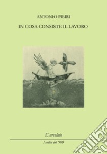 In cosa consiste il lavoro libro di Pibiri Antonio