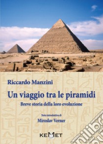 Un viaggio tra le piramidi. Breve storia della loro evoluzione libro di Manzini Riccardo