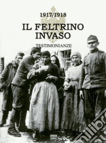 ll Feltrino invaso 1917-1918. Vol. 1: Testimonianza libro