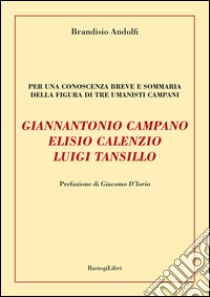 Giannantonio Campano, Elisio Calenzio, Luigi Tansillo. Per una conoscenza breve e sommaria della figura di tre umanisti campani libro di Andolfi Brandisio