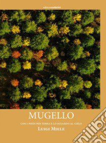 Mugello. Con i piedi per terra e lo sguardo al cielo libro di Studio Noferini (cur.)