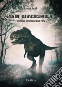 Non tutti gli specchi sono uguali. Misteri e miracoli di Inson Park libro di Amalfi Patrizia