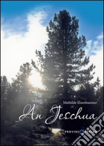 An Jeschua libro di Elzenbaumer Mathilde