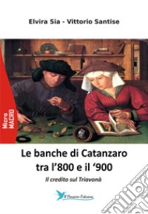 Le banche di Catanzaro tra l'800 e il '900. Il credito sul Triavonà libro di Santise Vittorio; Sia Elvira