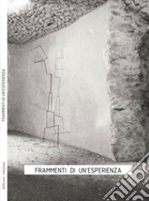 Frammenti di un'esperienza. Catalogo delle mostre al Museo La Castellina e Criptoportico Romano prima del terremoto. Ediz. italiana e inglese libro di Vergari Alessia; Bottini Claudia; Castellino Alessandro