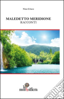 Maladetto meridione libro di Criaco Nino