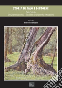 Storia di Salò e dintorni. Vol. 4: Salò Capitale. Evoluzione economica e sociale nel corso dell'Otto e Novecento libro di Pelizzari G. (cur.)