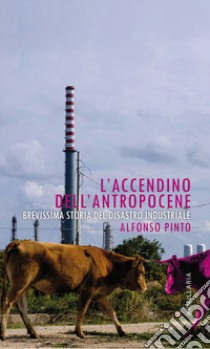 L'accendino dell'Antropocene. Brevissima storia del disastro industriale libro di Pinto Alfonso