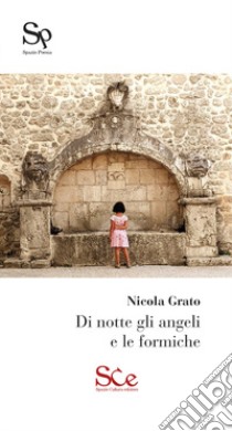 Di notte gli angeli e le formiche libro di Grato Nicola