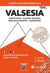 Valsesia nord-ovest. Monte Rosa, Alagna Valsesia, Rima San Giuseppe, Carcoforo 1:25.000 libro