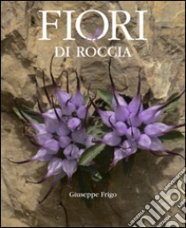 Fiori di roccia libro di Frigo Giuseppe