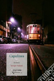 Capolinea libro di Adami Iacopo