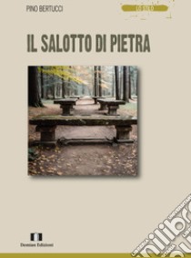 Il salotto di pietra libro di Bertucci Pino