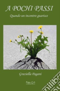 A pochi passi. Quando un incontro guarisce libro di Pagani Graziella