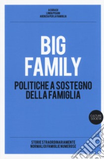 Big family. Politiche a sostegno della famiglia libro di Pisani L. (cur.); Agenzia per la famiglia (cur.)