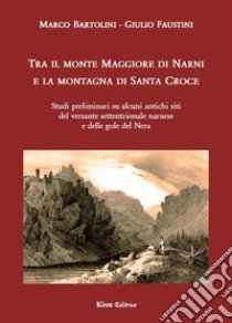 Tra il monte Maggiore di Narni e la montagna di Santa Croce. Studi preliminari su alcuni siti del versante settentrionale narnese e delle gole del Nera libro di Bartolini Marco; Faustini Giulio