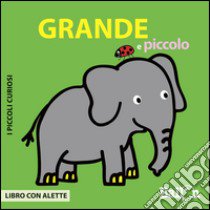 Grande e piccolo. I piccoli curiosi. Ediz. illustrata libro