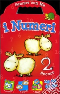 I Numeri libro