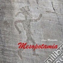 Mesopotamia libro di Montecchio Lucio