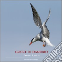 Gocce di Danubio libro di Ravasi Paolo