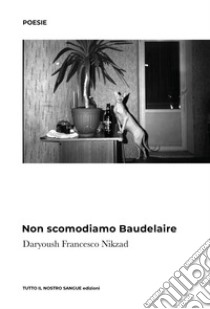 Non scomodiamo Baudelaire libro di Nikzad Daryoush Francesco