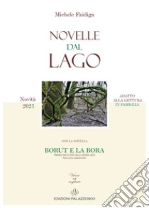 Novelle dal lago libro di Faidiga Michele