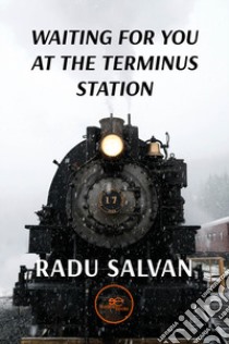 Waiting for you at the terminus station libro di Salvan Radu