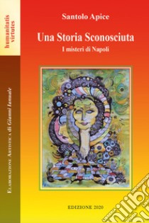 Una storia sconosciuta. I misteri di Napoli libro di Apice Santolo