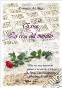 Erice. La rosa del muretto libro di Modica Domenico