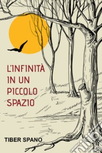 L'infinità in un piccolo spazio libro di Spano Tiber