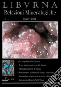 Relazioni mineralogiche. Libvrna. Vol. 1 libro di Bonifazi Marco