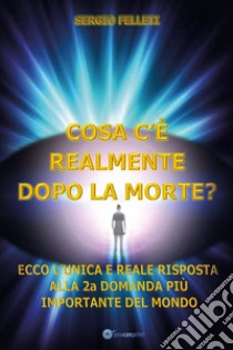 Cosa c'è realmente dopo la morte? libro di Felleti Sergio