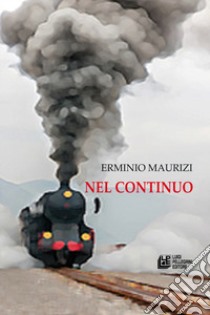 Nel continuo libro di Maurizi Erminio