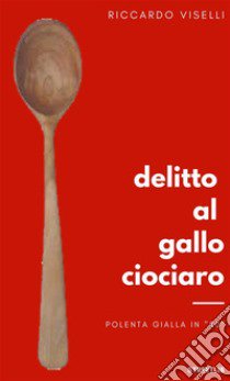 Delitto al Gallo ciociaro libro di Viselli Riccardo