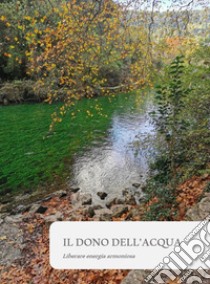 Il dono dell'acqua libro di Cussino Alessandro