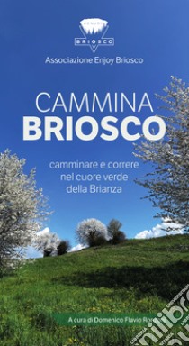 CamminaBriosco. Camminare e correre nel cuore verde della Brianza libro di Ronzoni D. F. (cur.)