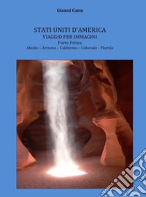 Stati Uniti d'America. Viaggio per immagini. Ediz. illustrata. Vol. 1 libro di Canu Gianni