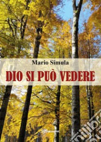 Dio si può vedere libro di Simula Mario