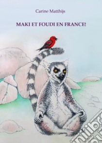 Maki et Foudi en France! libro di Matthijs Carine