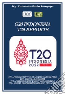 G20 Indonesia T20 reports città future libro di Rosapepe Francesco Paolo