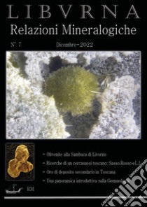 Relazioni mineralogiche. Libvrna. Vol. 7 libro di Bonifazi Marco