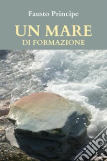 Un mare di formazione. Piccola guida pratica per navigare sicuri nella docenza della formazione d'aul libro di Principe Fausto